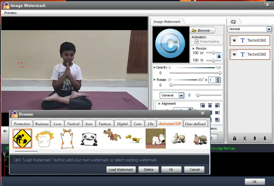 WonderFox Video Watermark UI