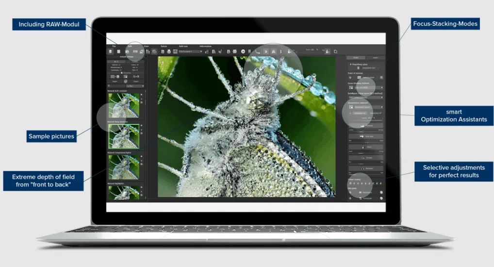 Franzese Focus Projects Pro UI