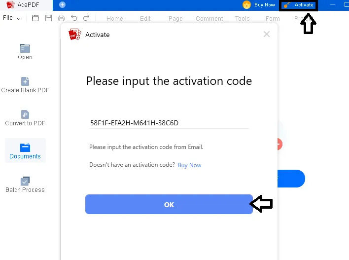 AcePDF Editor & Converter Pro License Code