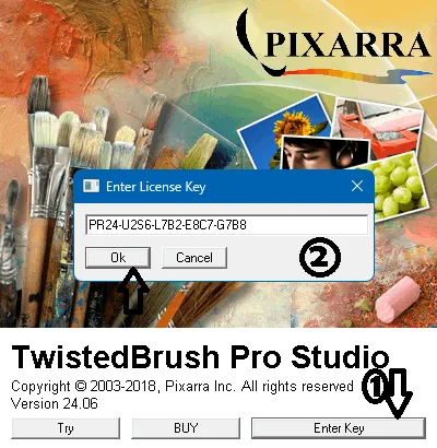 TwistedBrush Pro Studio License
